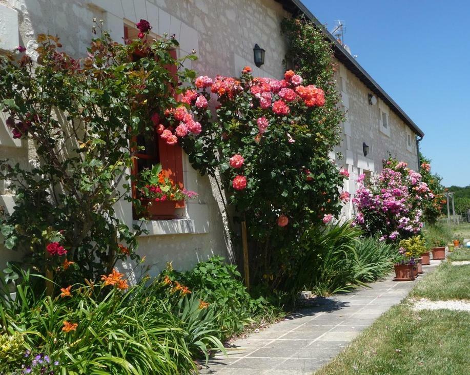 La Maison Des Fleurs Hotel Saint-Senoch Kültér fotó